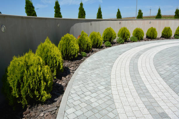 Best Brick Driveway Pavers  in Indian Hills, CO